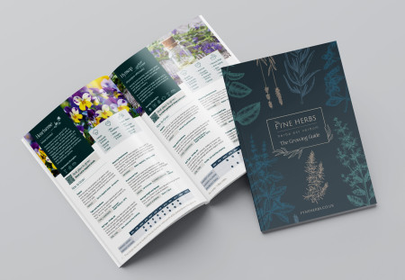 FH Perfect Binding Brochure Mockup 5